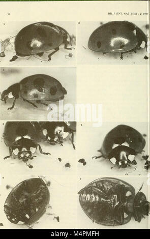 British journal of entomology and natural history (1989) (20230214498) Stock Photo
