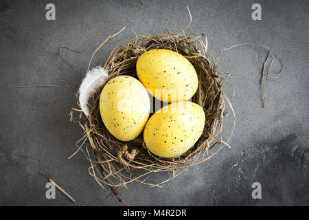 Easter Eggs in bird Nest on grey stone background. Decorated easter eggs with feathers in nest on concrete table with copy space. Spring, Easter conce Stock Photo