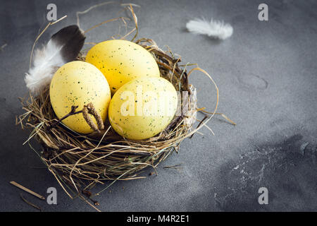 Easter Eggs in bird Nest on grey stone background. Decorated yellow easter eggs with feathers in nest on concrete table with copy space. Spring, Easte Stock Photo
