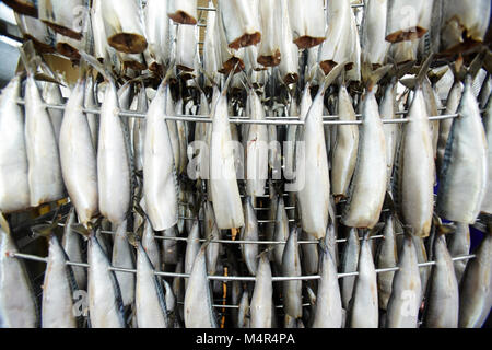 Mackerels on wires Stock Photo