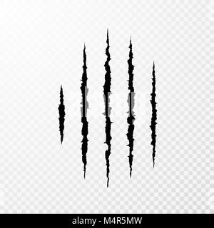 Traces from the claws of the monster. Claw scratch mark. Animal scratch isolated on transparent background. Shred paper. Vector illustration Stock Vector