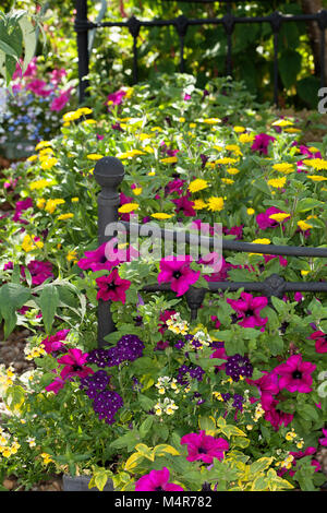 Conceptual Flower Bed - Petunias decorating an old Iron Bedstead used as a Garden Ornament Stock Photo