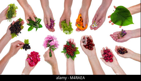 A peasant woman holding berries, flowers and plants in her hand. Big isolated on white studio set collage Stock Photo
