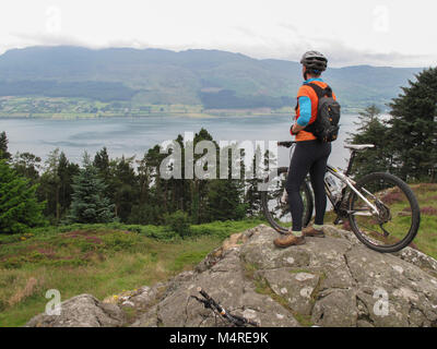 Mountain biker above Carlingford Lough, Rostrevor Forest Park, County Down, Northern Ireland.