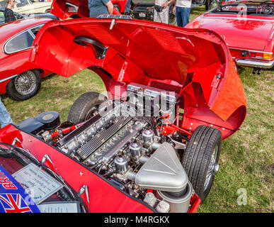 Australia, New South Wales, Central Coast, The Entrance, view of the XK engine of a Jaguar E-Type British sports car, exhibited during the Central Coa Stock Photo