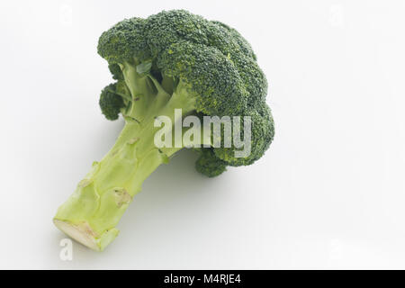 broccoli on the white background. Stock Photo