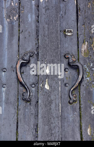 the doors to a beer cellar at a public house for delivering beer with the draymen. old iron handles on antique wooden cellar doors or hatch. Stock Photo