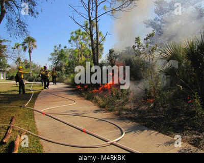 Prescribed fire near park structures. . Stock Photo