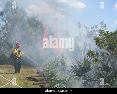 Prescribed fire near park structures. . Stock Photo