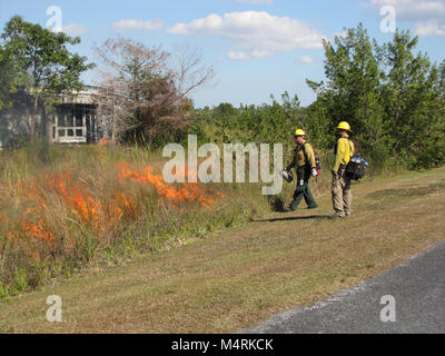 Prescribed fire near park structures. . Stock Photo