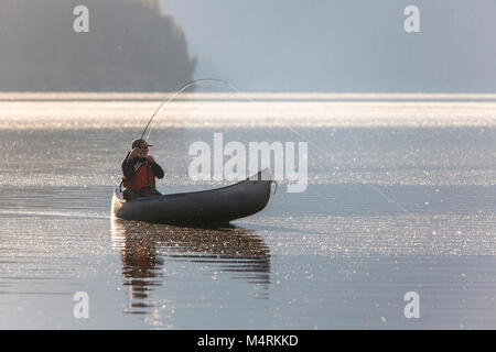 Quartz Lake Fish Project . Stock Photo