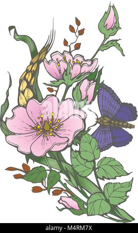 Wild dog rose flowers with butterfly drawing vector clipart on white background. Stock Vector