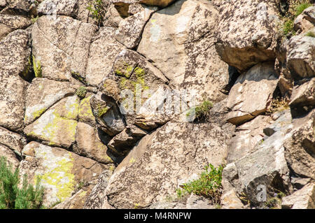 NAtural stone walls with cracks filled with grass in summer Stock Photo