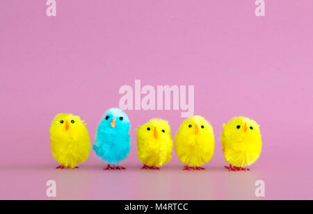 standing out from the crowd-4 yellow toy Easter chicks and 1 turquoise toy Easter chick in a row on a pink background Stock Photo