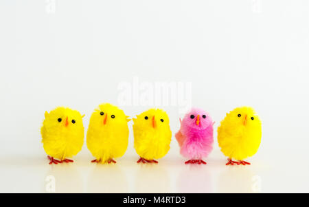 standing out from the crowd-4 yellow toy Easter chicks and 1 pink toy Easter chick in a row isolated on white Stock Photo