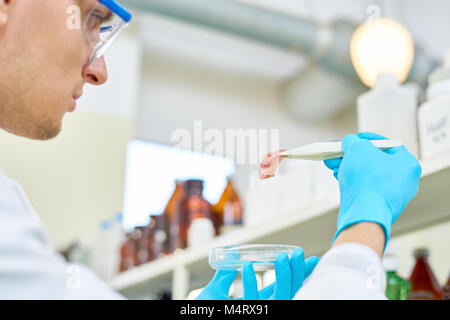 Close-up shot of confident young scientist wearing safety goggles and rubber gloves checking quality of artificial meat grown in modern laboratory Stock Photo