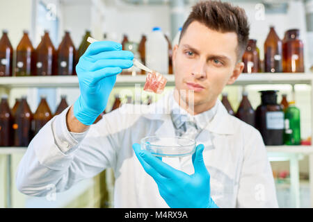 Handsome young researcher with stylish haircut wearing white coat and rubber gloves analyzing results of ambitious project concerning cultured meat cr Stock Photo