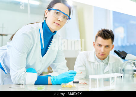 Group portrait of talented young scientists wearing white coats looking at camera while sitting at laboratory desk and carrying out experiment Stock Photo