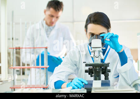 Confident dark-haired scientist wearing white coat and rubber gloves sitting at desk and using microscope, her male colleague standing behind and taki Stock Photo