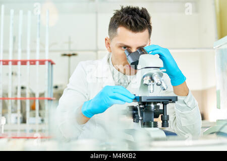 Portrait shot of concentrated young researcher wearing white coat and rubber gloves looking through microscope while working on ambitious project, int Stock Photo
