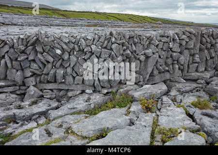 Stone wall and limestone pavement, The Burren, County Clare, Ireland.