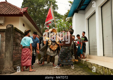 Local indonesian boys performing traditional lion dance with musical instruments on the street in Bali, Indonesia. Stock Photo