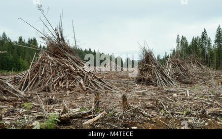 Clear cut logging operations in stormy Oregon mountain valley Stock ...