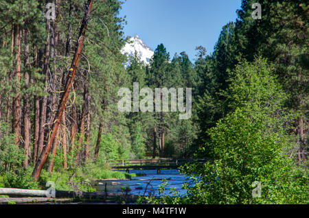 Mt. Jefferson and the head of the Metolius River in central Oregon Stock Photo