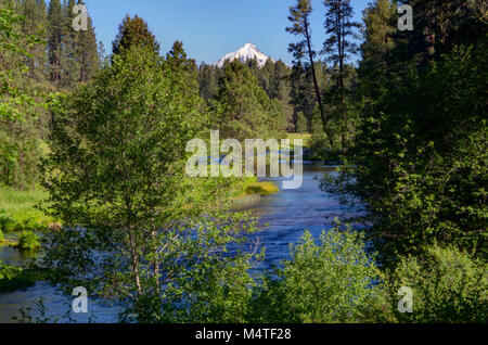 Mt. Jefferson and the head of the Metolius River in central Oregon Stock Photo