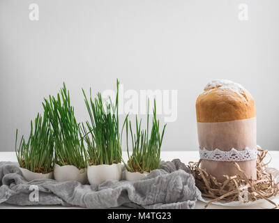 Fragrant cupcake on a background of fresh, green grass in pots. Preparing for Easter Stock Photo