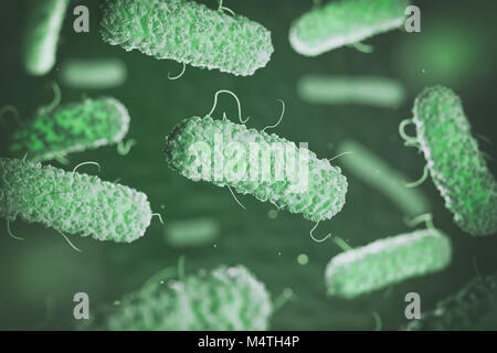 Enterobacterias. Gram-negative bacterias escherichia coli, salmonella, klebsiella, legionella, mycobacterium tuberculosis, yersinia pestis,  and shige Stock Photo