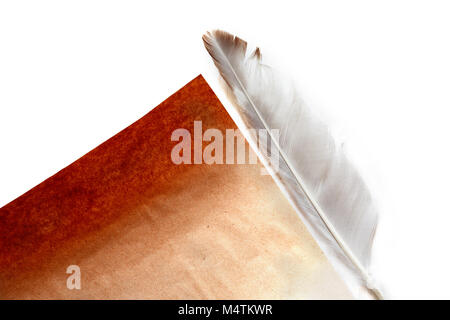 Literature concept. Quill pen near old blank paper on white background Stock Photo