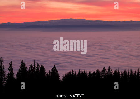 View from mountain Schoeckl over low stratus to mountain Koralpe with pinwheels and sunset Stock Photo