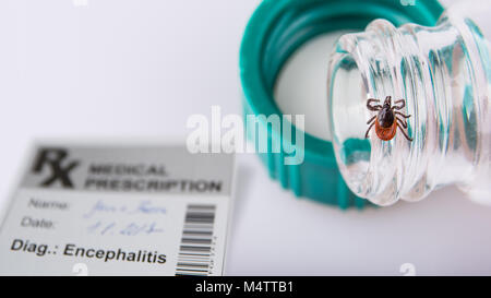 Castor bean tick, laboratory tube and prescription. Ixodes ricinus. Dangerous carrier of infectious encephalitis on detail of vial in doctor's office. Stock Photo