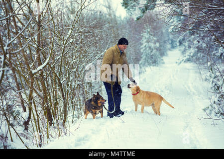 A man with two dogs walks in the woods in winter Stock Photo