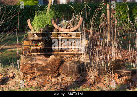 Man-made wildlife stack with pallets, sometimes called a bug or insect hotel, providing habitat for invertebrates,Regents Park, London, United Kingdom Stock Photo