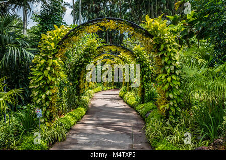 Flower archway in Singapore Botanic Gardens, Republic of Singapore Stock Photo