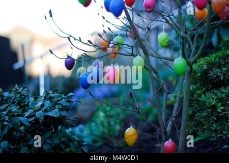 coloured plastic easter eggs hangs on branshes Stock Photo