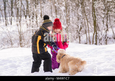 Kids play with cocker spaniel in winter forest Stock Photo