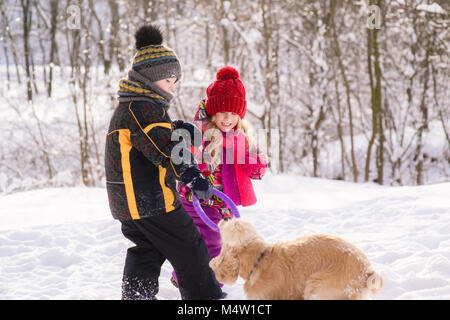 Kids play with american cocker spaniel Stock Photo