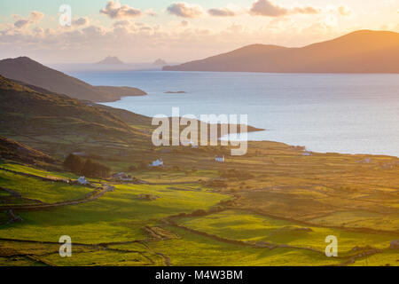 Evening light over fields and Skellig Islands from Ballinskelligs Bay, County Kerry, Ireland. Stock Photo