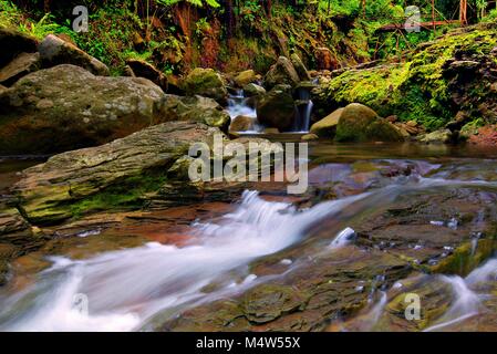 Small waterfall, Curug Pangeran, Mount Salak, Bogor, Indonesia Stock Photo