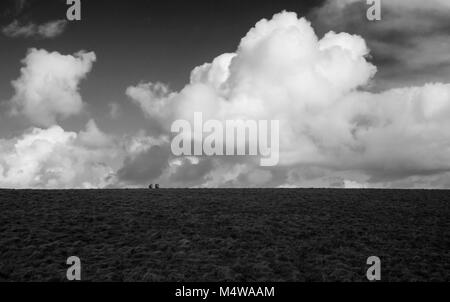 Black and white coastal scene at Cornwall Stock Photo