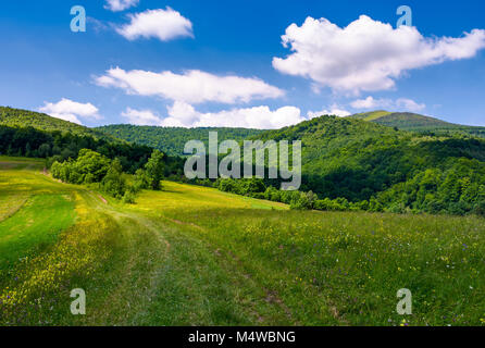 grassy rural fields on mountain slopes. country road runs uphill in to the forest. beautiful landscape at the foot of Pikui mountain. fine summer weat Stock Photo