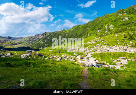 beautiful valley of Fagaras mountains. small brook flow among the rocks. grassy slopes with huge boulders Stock Photo