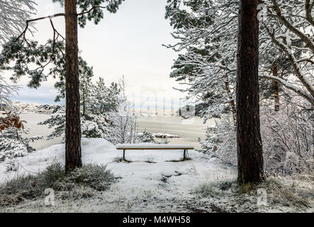 Beautiful winter day at Odderoya in Kristiansand, Norway. Bench covered in snow, standing between two pine trees. The ocean in the background. Stock Photo