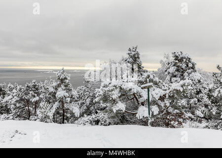 Beautiful winter day at Odderoya in Kristiansand, Norway. Pine trees covered in snow, a sign pointing to the cafe standing in front of the pinewood forest. The ocean in the background. Stock Photo