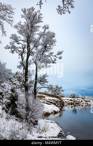 Reflections in the water. Beautiful winter day at Odderoya in Kristiansand, Norway. Trees covered in snow. Stock Photo
