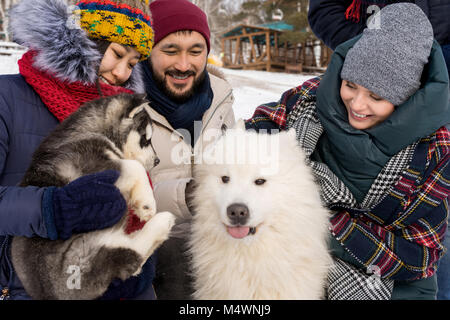 Close up of four young people cuddling with husky dogs enjoying playtime on beautiful winter day Stock Photo