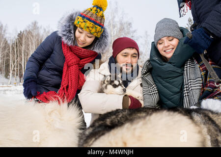 Group of young people petting husky dogs, focus on Asian man holding cute puppy and smiling happily Stock Photo